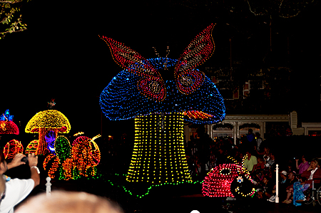 Disney Electric Parade butterfly