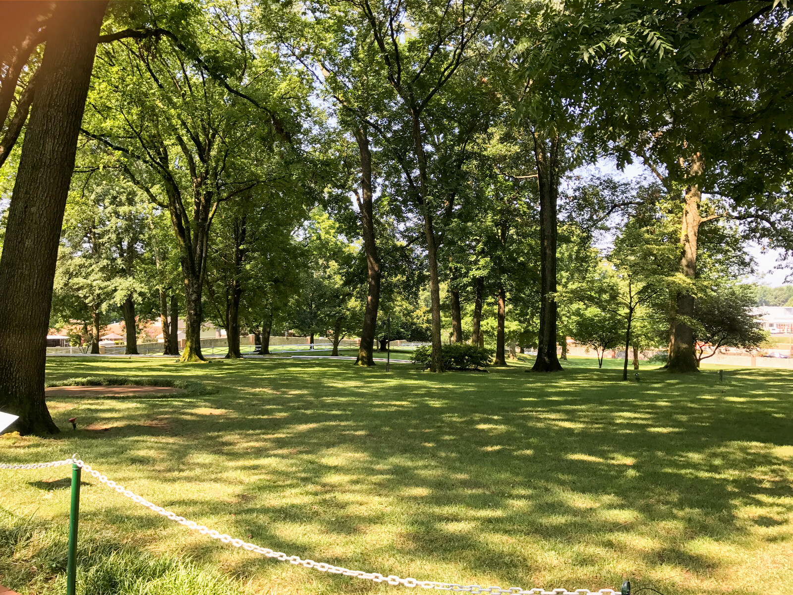 Graceland yard
