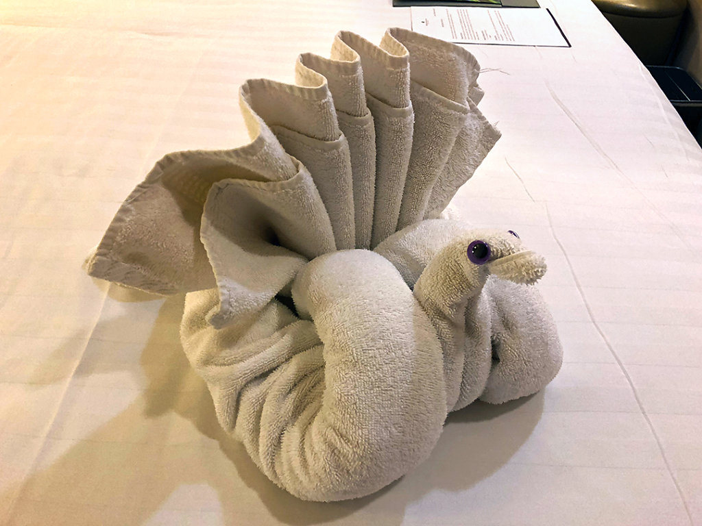 Towel animal!