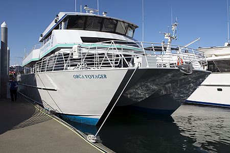 Orca Voyager
