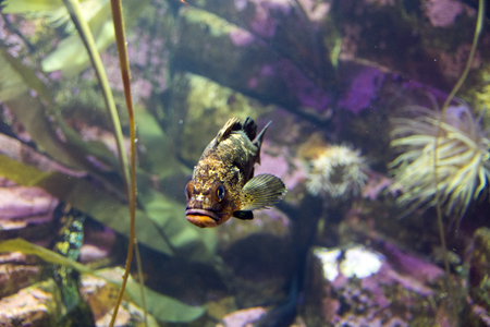 seward aquarium